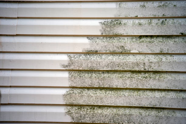 Best Siding Painting and Refinishing  in Van Wert, OH