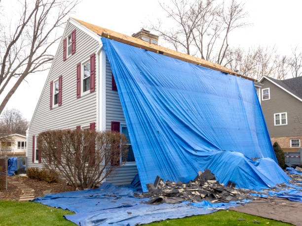 Best Steel Siding Installation  in Van Wert, OH